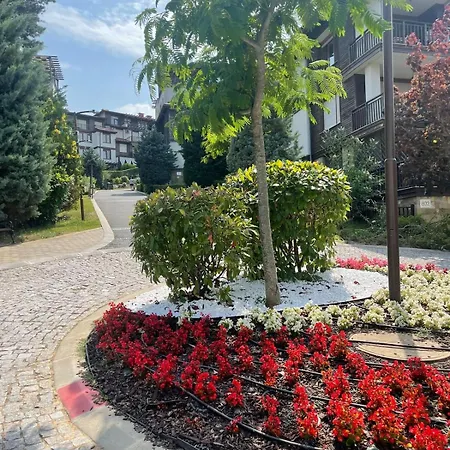 At The Seaside * سوزوبول